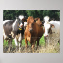 Suche nach lustiger bauernhof poster Land