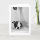 Recherche de humide vœux cartes Chiot