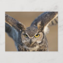 Suche nach freier vogel postkarten Fotografie