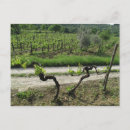 Recherche de chianti posters Europe