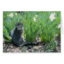 Recherche de chaton pâques cartes postales Jardin