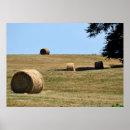 Recherche de foins posters Champ