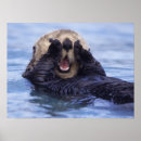 Suche nach sea otter poster Aquatic