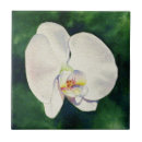 Suche nach orchideen fliesen Aquarell
