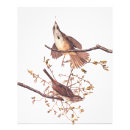Recherche de plaque de branche posters Pour tous