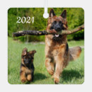 Recherche de dog lover ornements Pet