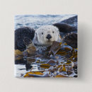 Recherche de loutre badges Animal