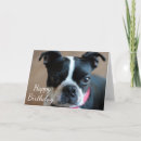 Suche nach terrier karten Tier