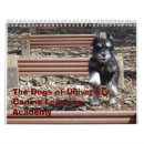 Suche nach schnauzer kalender Welpe