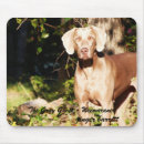 Suche nach ingwer mousepads Haustier