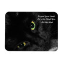 Recherche de yeux de coeur magnets Pour tous