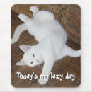 Recherche de bouteur tapis souris Chat