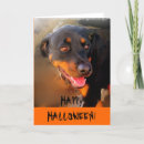 Recherche de heureuse de cartes halloween Heureux