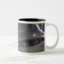 Recherche de reflet tasses Roche