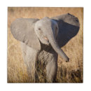 Suche nach elefanten fliesen Afrikanischer elefant