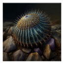 Recherche de sea poster Animal