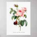 Suche nach rosa schmetterlinge poster Rose