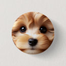 Suche nach großes auge buttons Tier