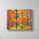 Suche nach herbstbaum leinwandbilder Rückgang