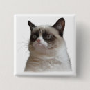 Recherche de grincheux badges Chat