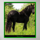 Suche nach friesische poster Natur