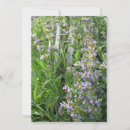 Suche nach gärtner einladungen Blau