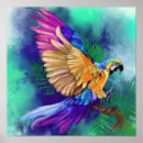 Recherche de peinture de perroquet posters Exotique