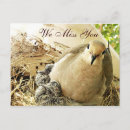 Suche nach tauben postkarten Begrüßung