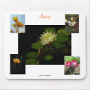 Suche nach krokus blumen mousepads Frühling