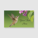 Recherche de fleurs colibri cartes visite Nature