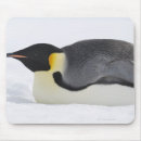 Suche nach schnee mousepads Kalte temperatur