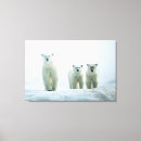 Suche nach junges tier leinwandbilder Wild lebende tiere