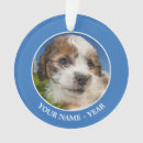 Recherche de colombes ornements Animaux