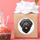Suche nach labradoodles aufkleber Welpe