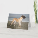 Suche nach tod des hundes karten Welpen