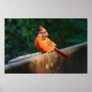 Suche nach spotlight poster Natur