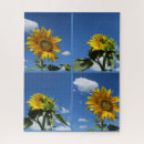 Suche nach sonnenblume puzzle Sommer