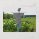 Recherche de épouvantail cartes postales Rustique