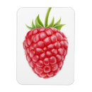 Suche nach himbeeren magnete Frisch