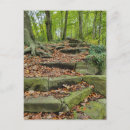 Recherche de pierre cartes postales Automne