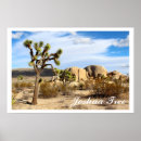 Suche nach joshua tree poster Urlaub