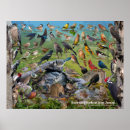 Recherche de bluejays posters Jardin