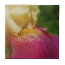 Recherche de macro rose carreaux Fleur