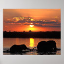 Suche nach delta poster Tier