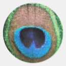 Recherche de verre souillé autocollants Paon