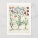 Recherche de multiplié cartes postales Fleurs