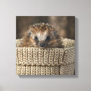 Suche nach igel leinwandbilder Deutschland