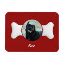 Recherche de gardes magnets Chien