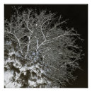 Suche nach negativ poster Schwarz