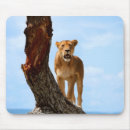 Suche nach löwin mousepads Katze